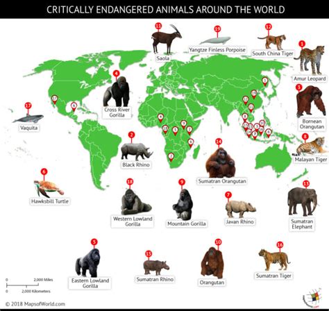 A World Of Endangered Animals 2025 𝚆𝚊𝚝𝚌𝚑 On Smart TV
