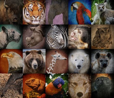 A World Of Endangered Animals 2025 𝚆𝚊𝚝𝚌𝚑 Online Without Signing Up
