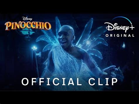 Choosies/When You Wish Upon A Rose 2025 𝚆𝚊𝚝𝚌𝚑 On Video Streaming Services
