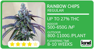 Ultimate Guide to Marijuana Seeds Maryland Cultivation, Varieties, and Legal Considerations