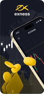 Understanding the Exness Trading Account Understanding the Exness Trading Account