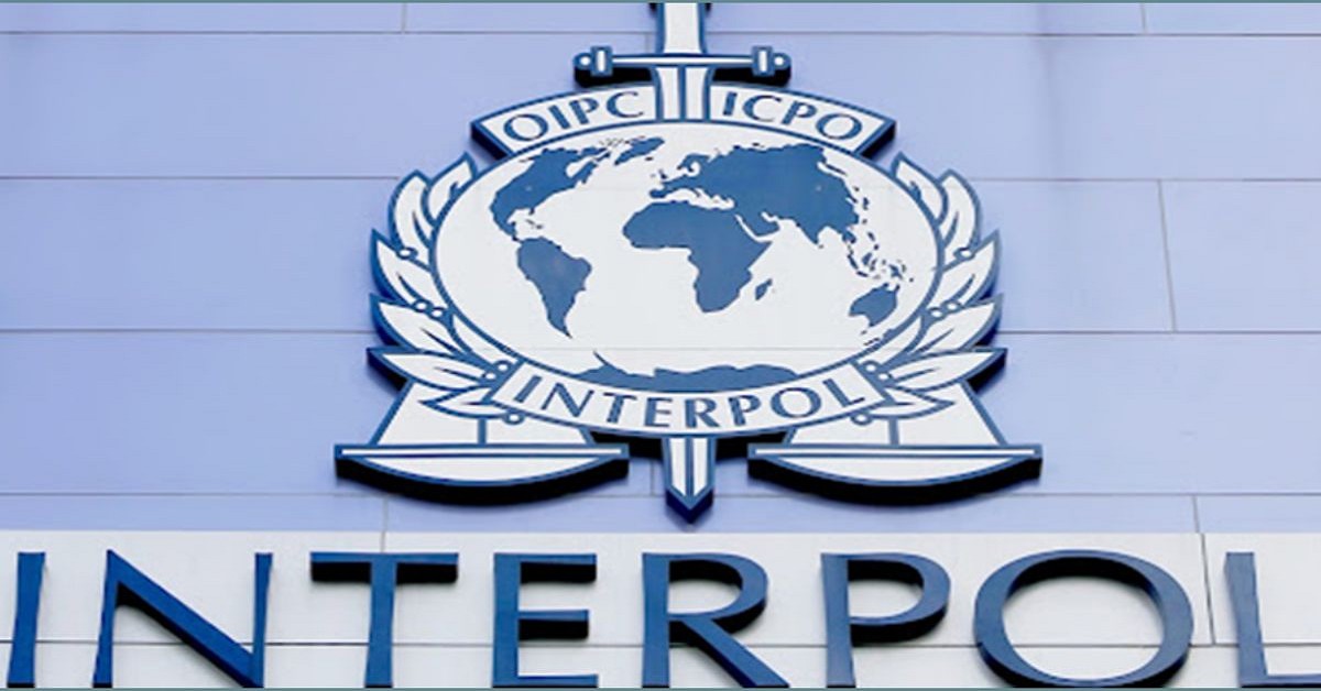 Understanding Interpol Errors and Legal Protection Strategies 381451782 Understanding Interpol Errors and Legal Protection Strategies 381451782