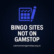 Discover the Best Bingo Sites Without GamStop