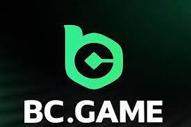 Exploring BC Game The Future of Online Casinos in India