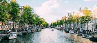 Lokale Horeca in Apeldoorn Ontdek de Smaak van de Stad 331525379