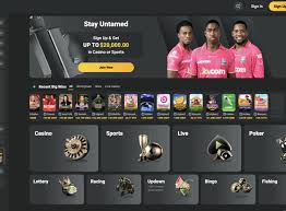 Discover the Thrill of JB Crypto Casino Your Gateway to Online Gaming